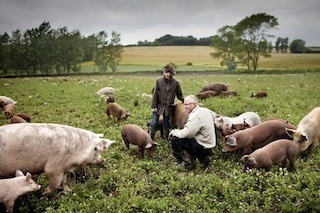 Danish-organic02S.jpg