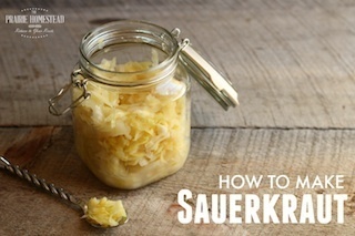homemade-sauerkrautS.jpg